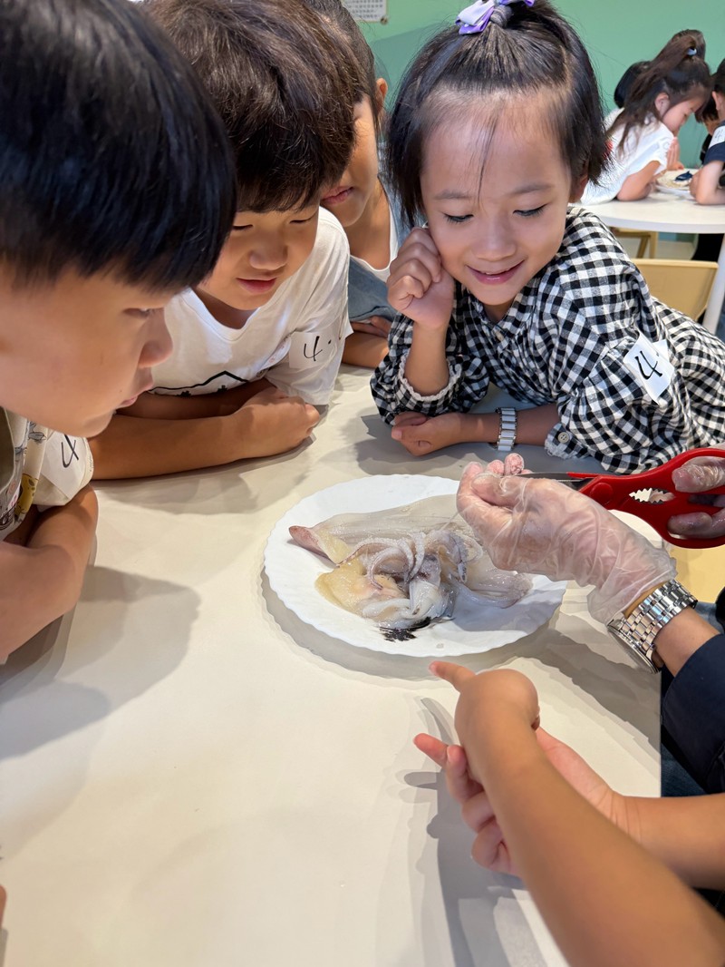幼兒園：餐桌上的科學-貝類篇(7/24)-圖片21