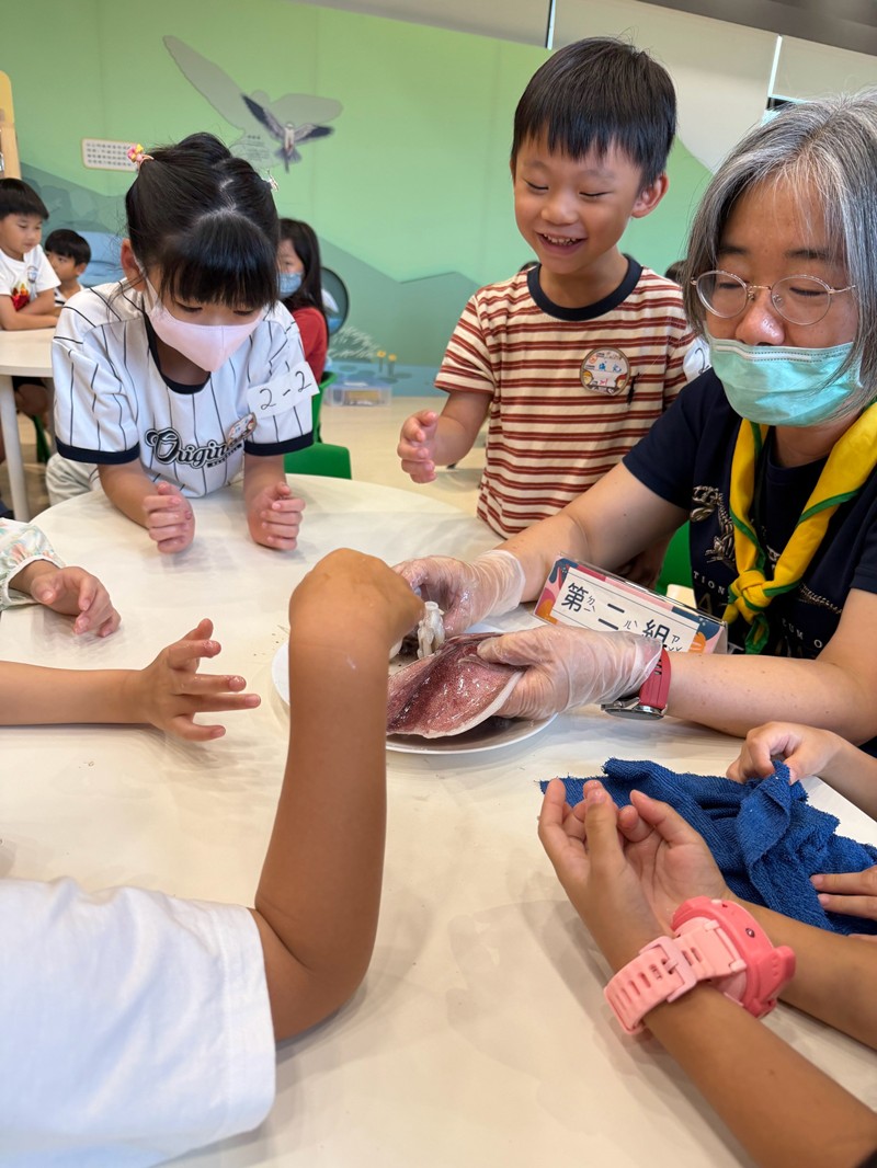 幼兒園：餐桌上的科學-貝類篇(7/24)-圖片23