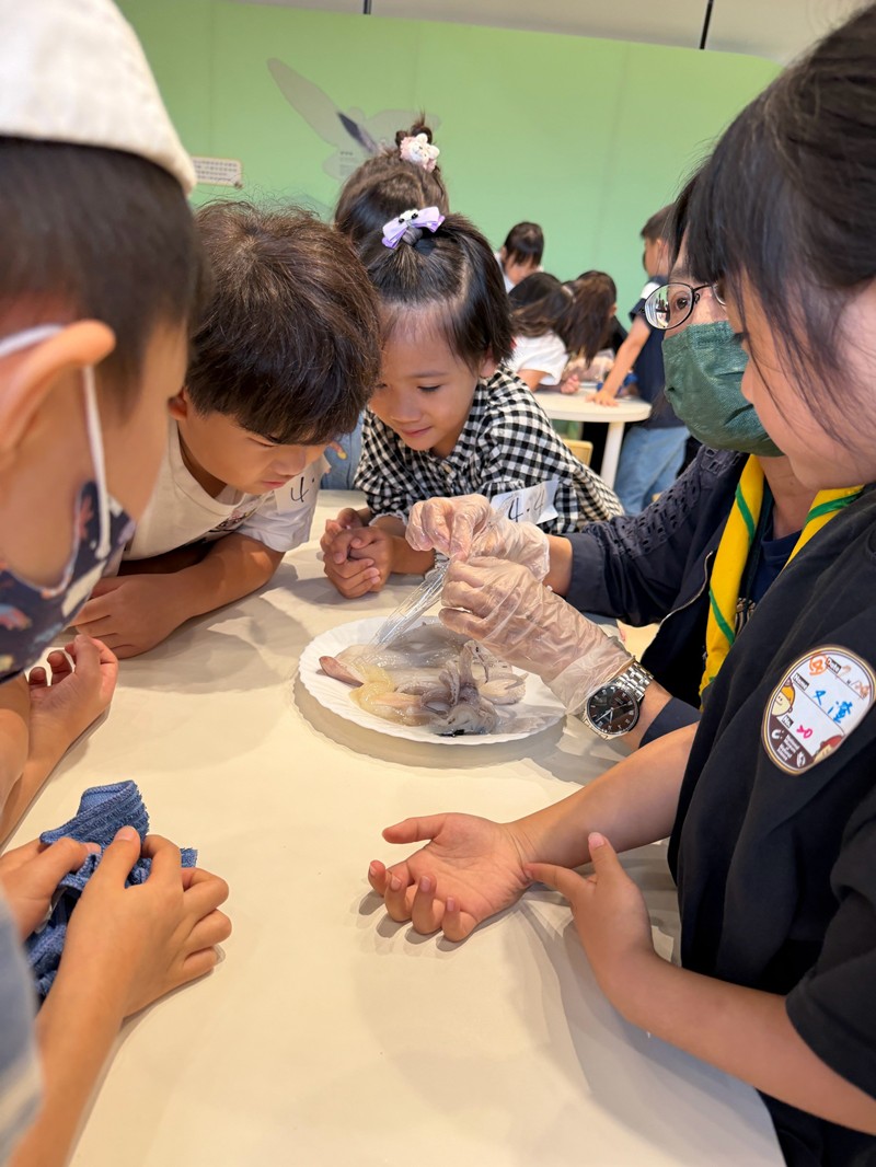 幼兒園：餐桌上的科學-貝類篇(7/24)-圖片24