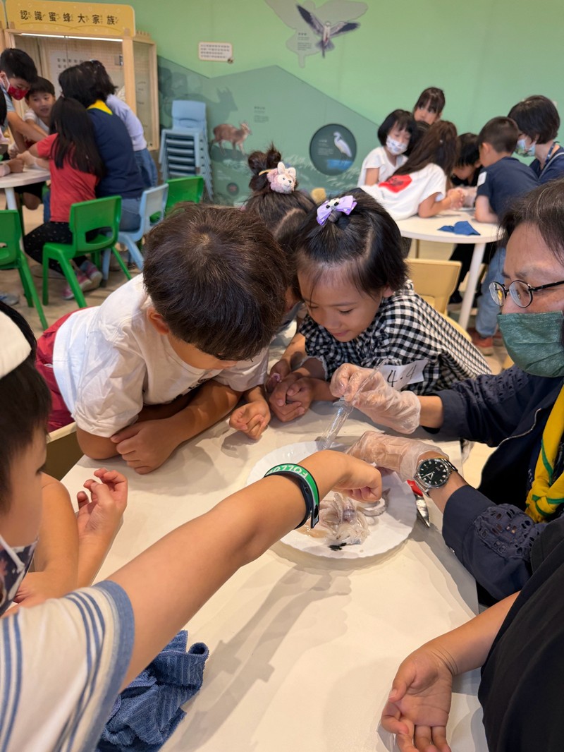 幼兒園：餐桌上的科學-貝類篇(7/24)-圖片25