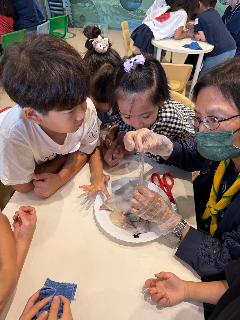 幼兒園：餐桌上的科學-貝類篇(7/24)-圖片26