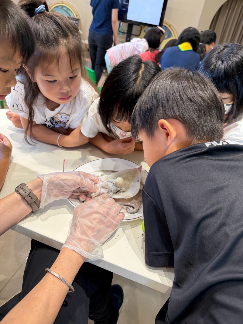 幼兒園：餐桌上的科學-貝類篇(7/24)-圖片27