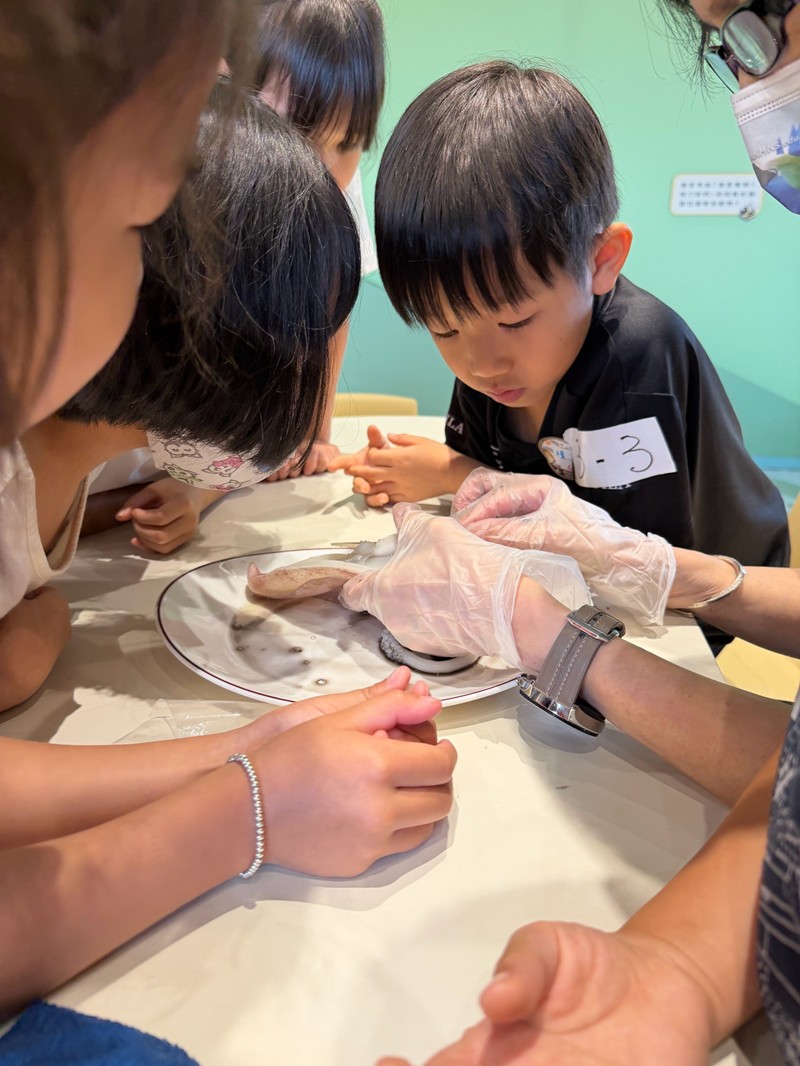 幼兒園：餐桌上的科學-貝類篇(7/24)-圖片29