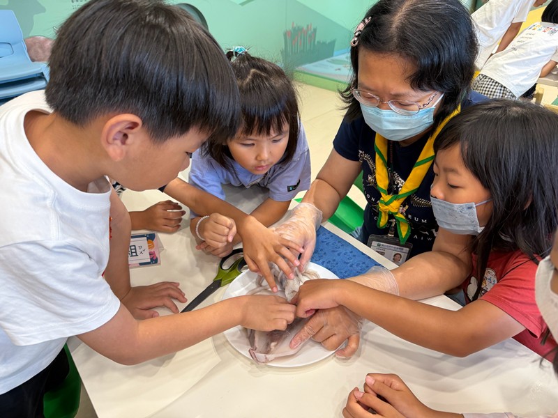 幼兒園：餐桌上的科學-貝類篇(7/24)-圖片30