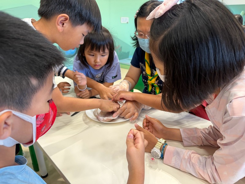 幼兒園：餐桌上的科學-貝類篇(7/24)-圖片31
