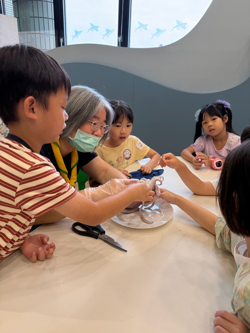 幼兒園：餐桌上的科學-貝類篇(7/24)-圖片33