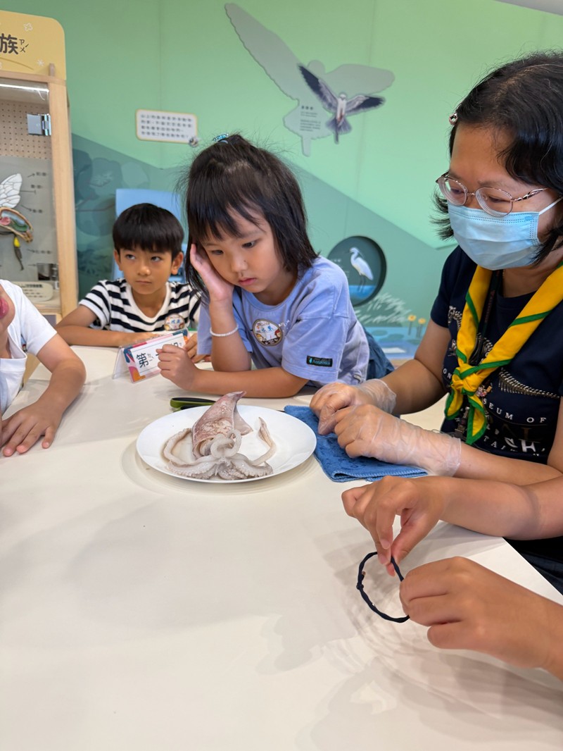 幼兒園：餐桌上的科學-貝類篇(7/24)-圖片34