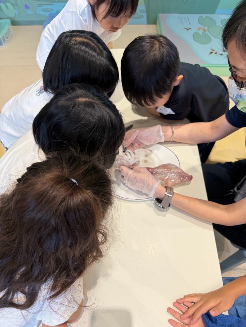 幼兒園：餐桌上的科學-貝類篇(7/24)-圖片35