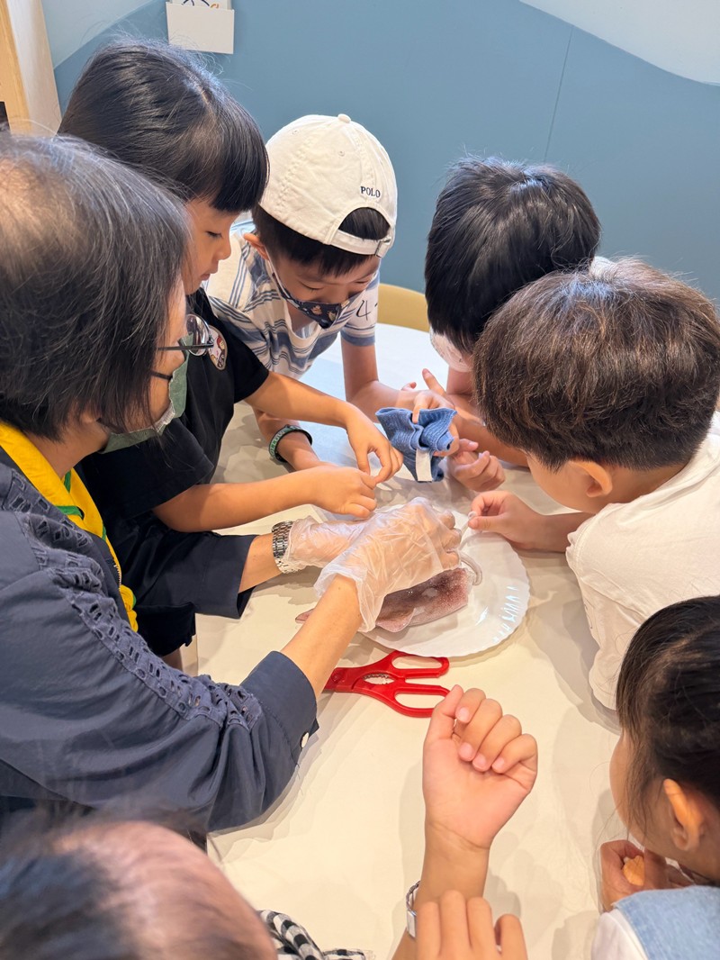 幼兒園：餐桌上的科學-貝類篇(7/24)-圖片36