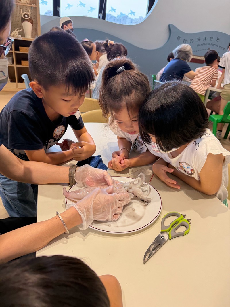 幼兒園：餐桌上的科學-貝類篇(7/24)-圖片37