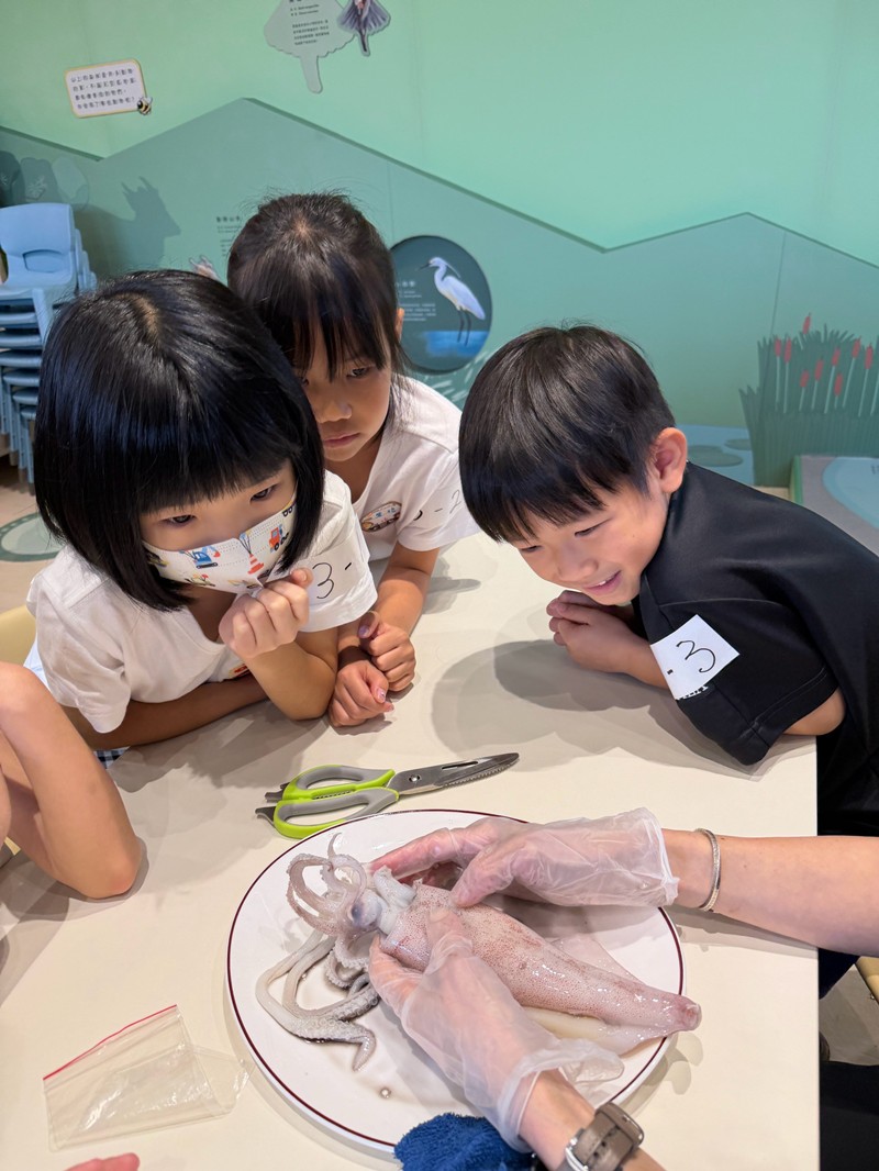 幼兒園：餐桌上的科學-貝類篇(7/24)-圖片38