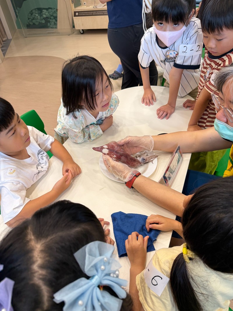幼兒園：餐桌上的科學-貝類篇(7/24)-圖片39