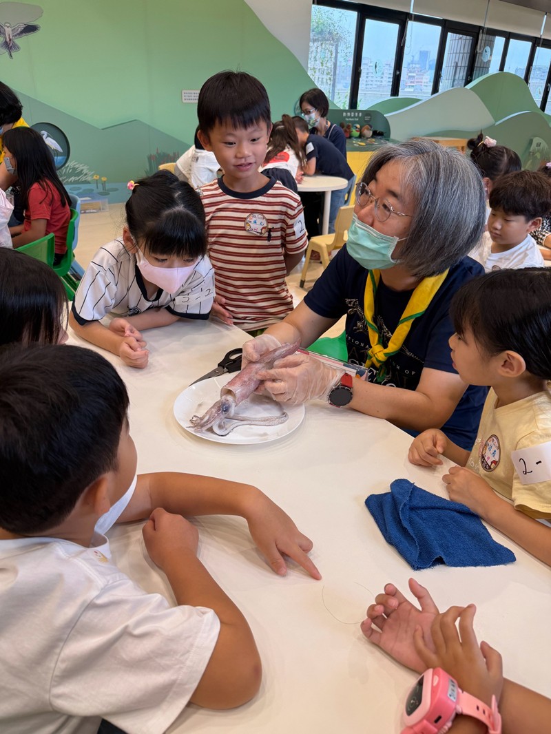 幼兒園：餐桌上的科學-貝類篇(7/24)-圖片40