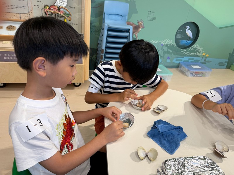 幼兒園：餐桌上的科學-貝類篇(7/24)-圖片46