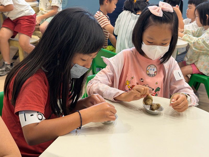 幼兒園：餐桌上的科學-貝類篇(7/24)-圖片47