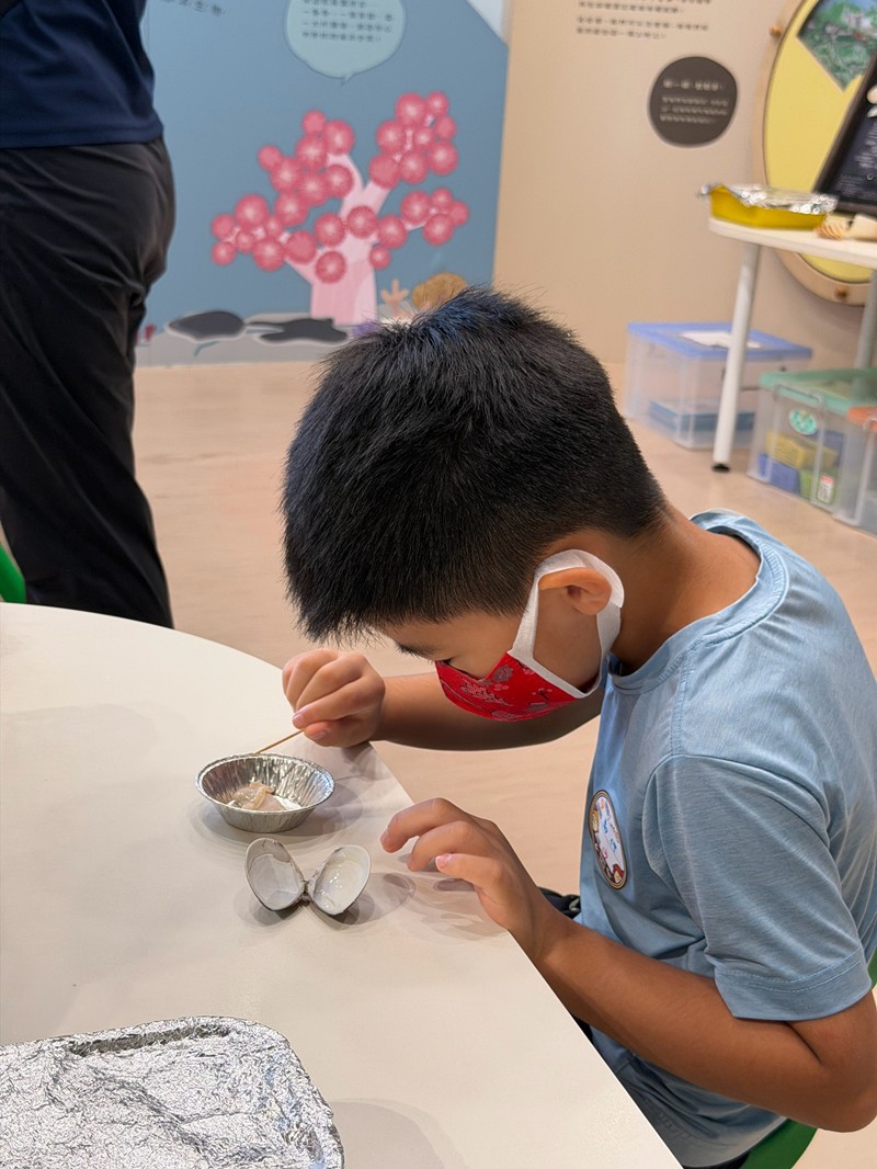 幼兒園：餐桌上的科學-貝類篇(7/24)-圖片48