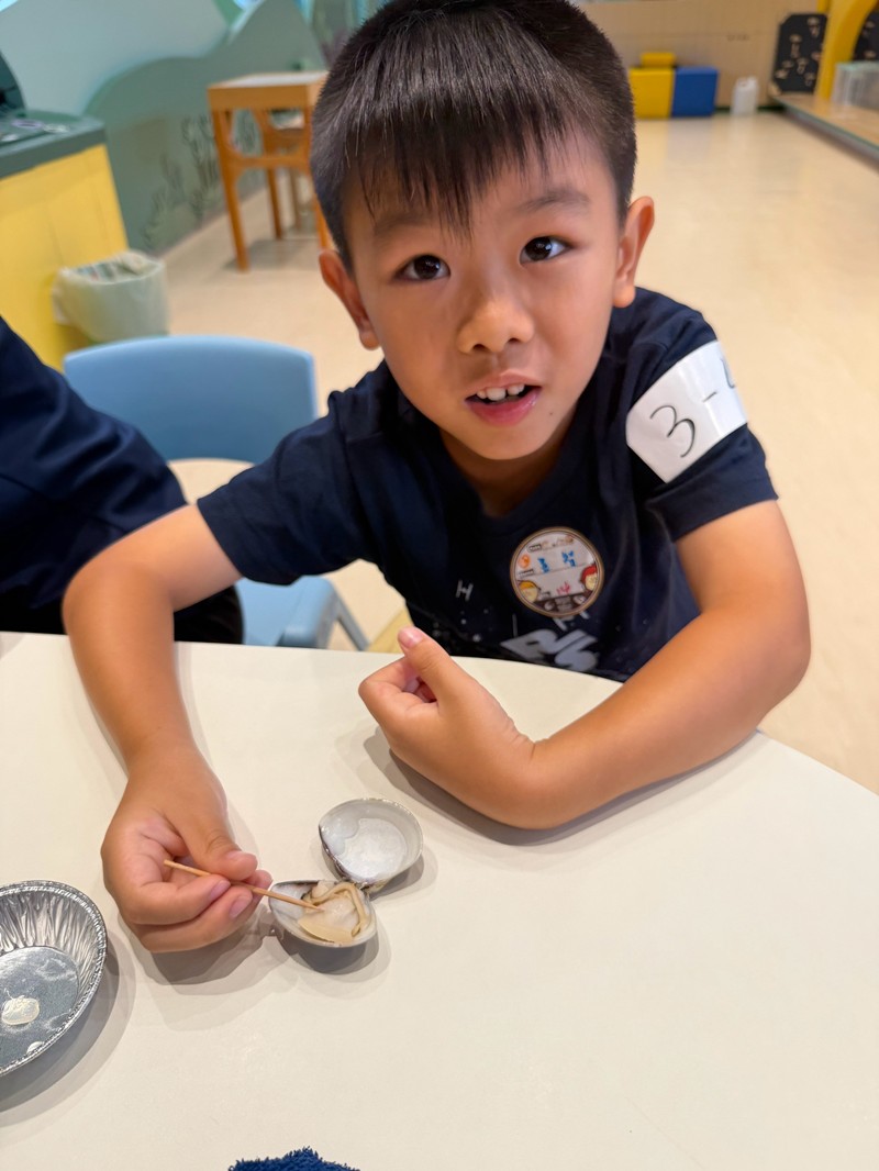 幼兒園：餐桌上的科學-貝類篇(7/24)-圖片49
