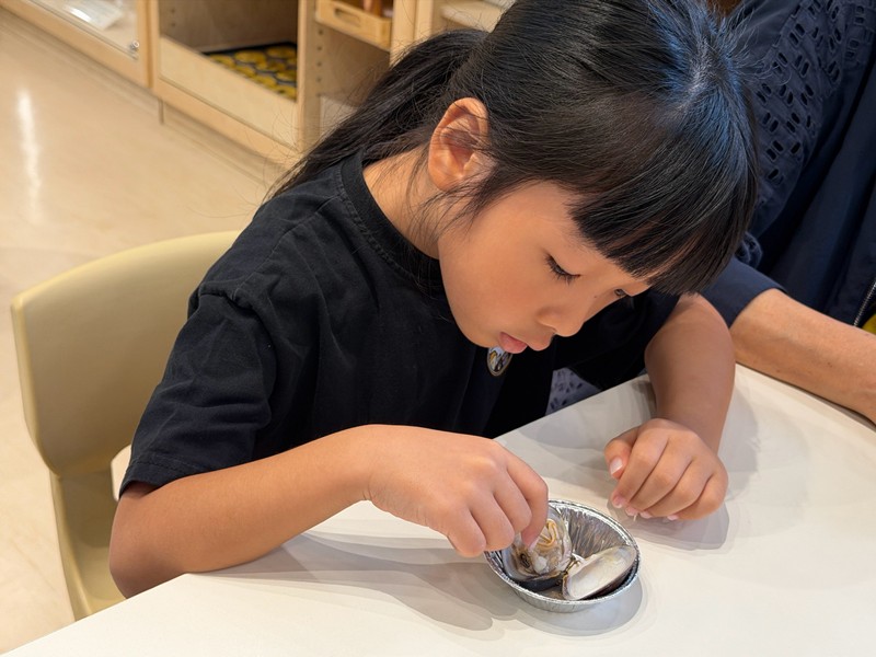 幼兒園：餐桌上的科學-貝類篇(7/24)-圖片52