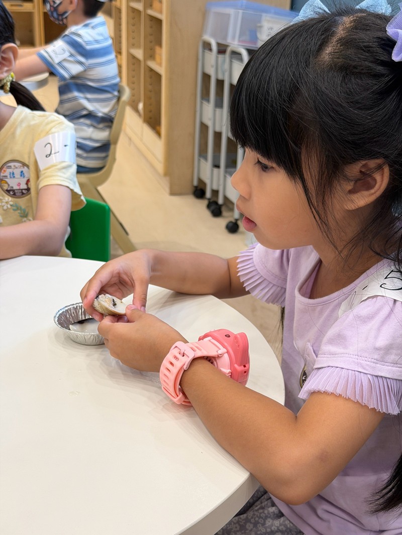 幼兒園：餐桌上的科學-貝類篇(7/24)-圖片63