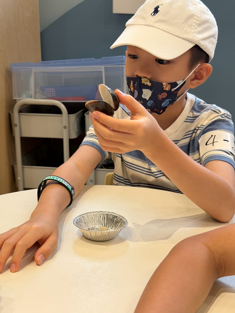 幼兒園：餐桌上的科學-貝類篇(7/24)-圖片65