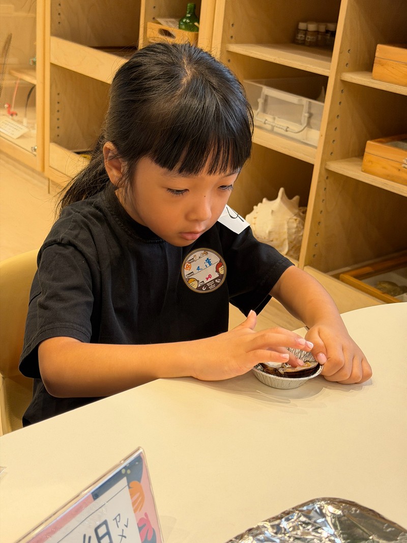幼兒園：餐桌上的科學-貝類篇(7/24)-圖片67