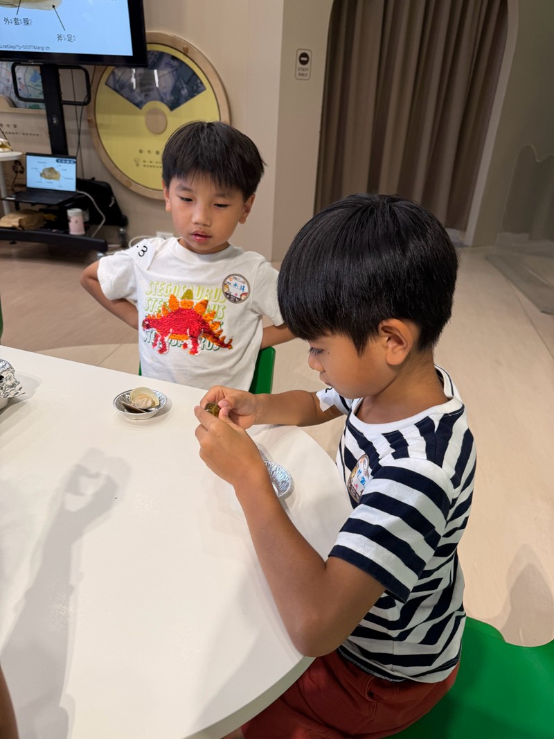 幼兒園：餐桌上的科學-貝類篇(7/24)-圖片77