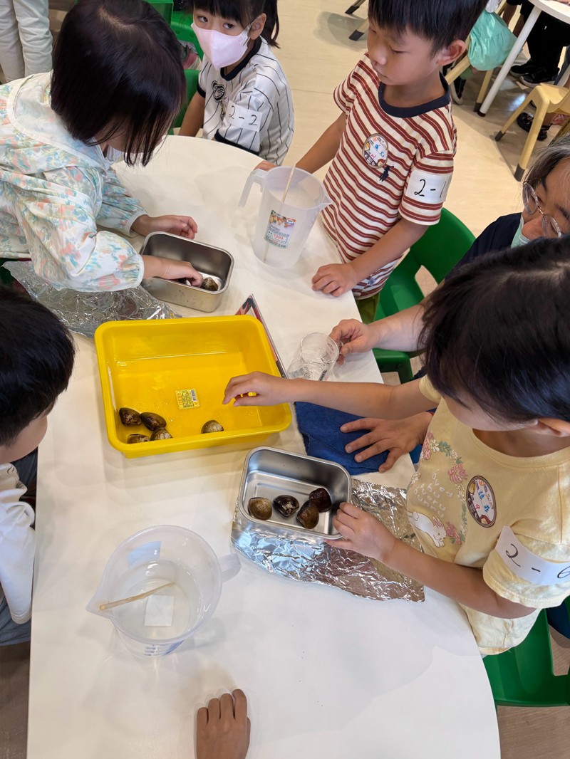 幼兒園：餐桌上的科學-貝類篇(7/24)-圖片83