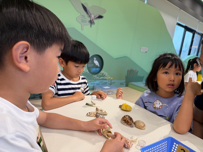 幼兒園：餐桌上的科學-貝類篇(7/24)-圖片99