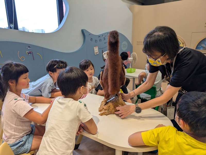 幼兒園：乘著風的翅膀(8/5)-圖片3
