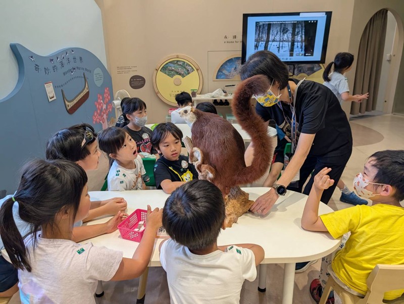 幼兒園：乘著風的翅膀(8/5)-圖片4