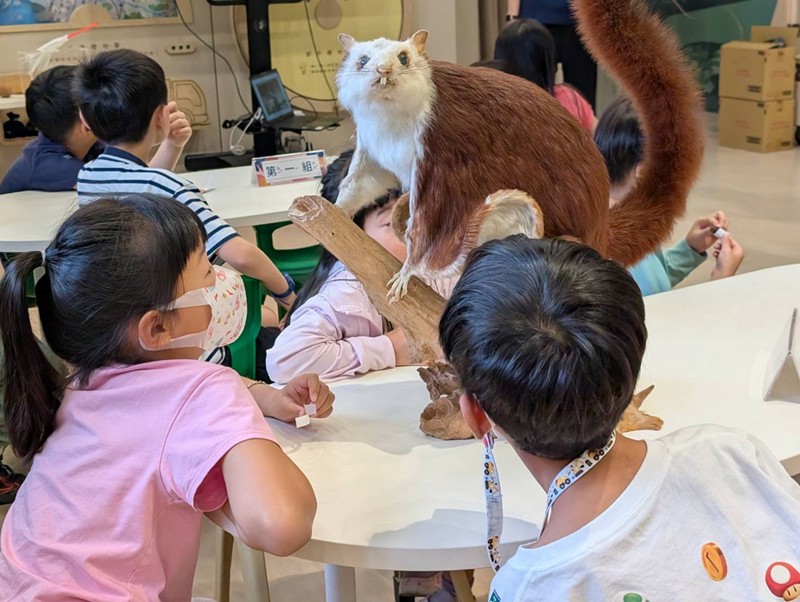 幼兒園：乘著風的翅膀(8/12)-圖片2