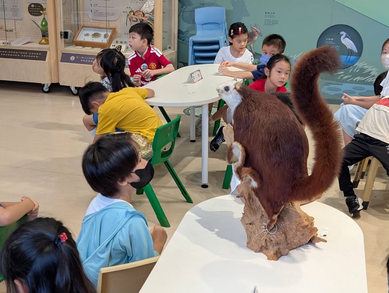幼兒園：乘著風的翅膀(8/12)-圖片4