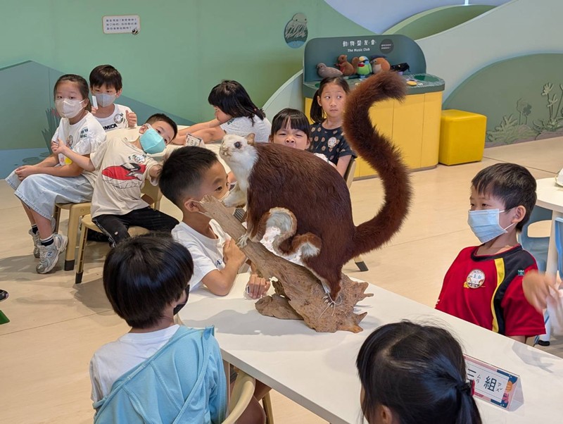 幼兒園：乘著風的翅膀(8/12)-圖片5