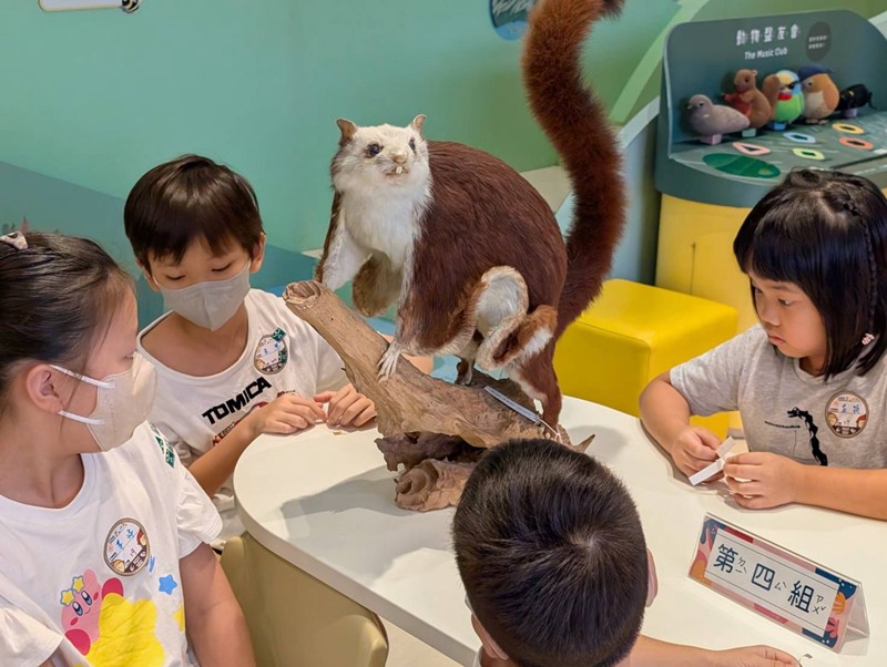幼兒園：乘著風的翅膀(8/12)-圖片6