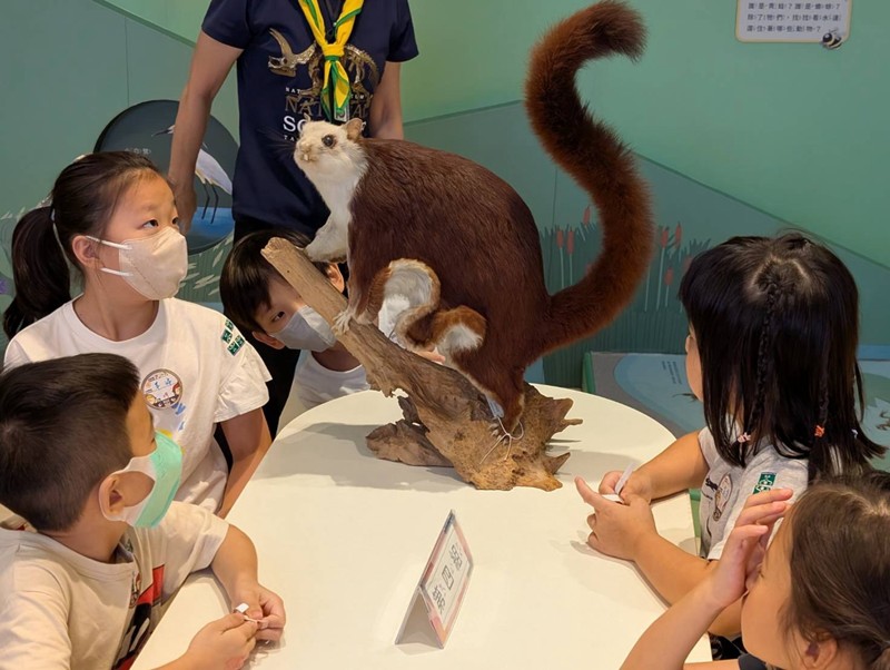 幼兒園：乘著風的翅膀(8/12)-圖片7