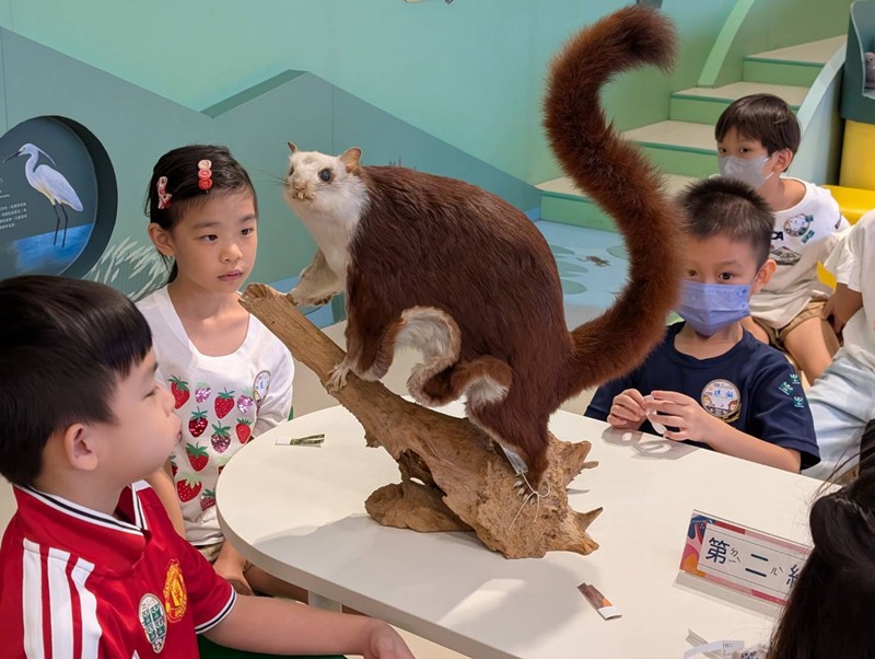 幼兒園：乘著風的翅膀(8/12)-圖片11