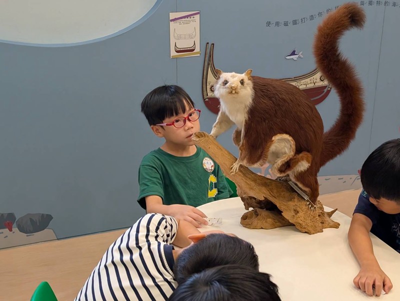 幼兒園：乘著風的翅膀(8/12)-圖片15