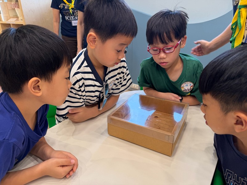 幼兒園：乘著風的翅膀(8/12)-圖片56