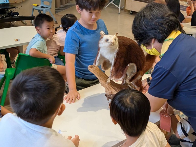 幼兒園：乘著風的翅膀(8/14)-圖片55