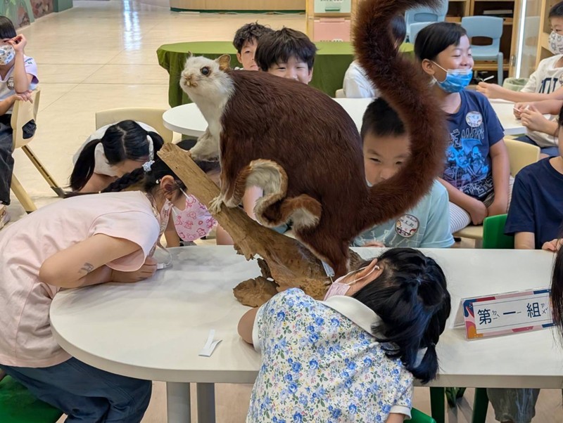 幼兒園：乘著風的翅膀(8/14)-圖片72