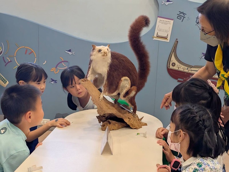 幼兒園：乘著風的翅膀(8/14)-圖片73