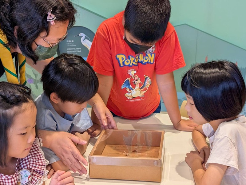 幼兒園：乘著風的翅膀(8/14)-圖片120