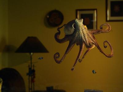 家有章魚