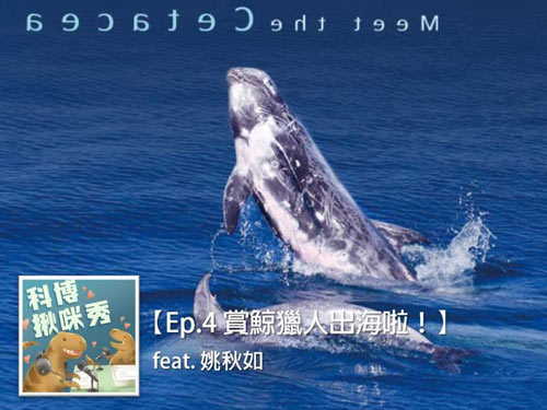 EP.4 賞鯨獵人出海啦！！！feat. 姚秋如博士 aka 閱鯨無數的海上女兒