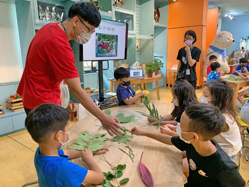 Colorful Leaves educational activity