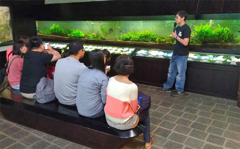 植物園食人魚餵食導覽