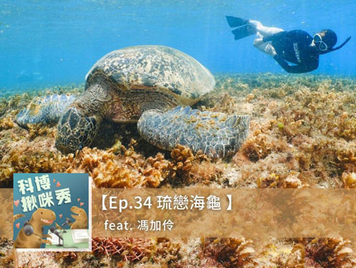 EP.34 琉戀海龜 feat. 馮加伶 aka 海龜姊姊