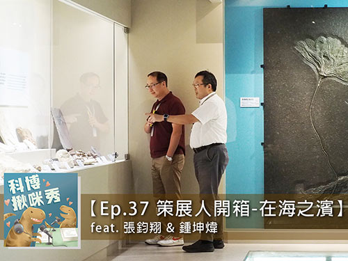 EP.37 【策展人開箱】-「在海之濱」 feat. 張鈞翔&鍾坤煒 aka 18歲就認識的戰友