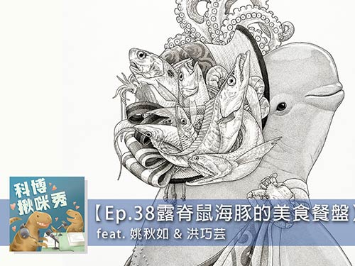 EP.38  露脊鼠海豚的美食餐盤 feat. 姚秋如 & 洪巧芸 aka 解剖鯨豚面不改色的強者