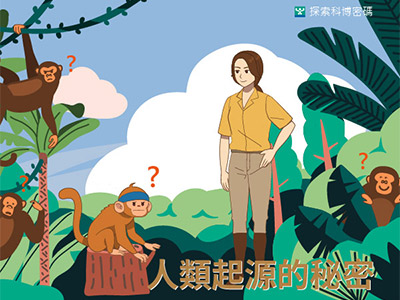 人類起源的秘密